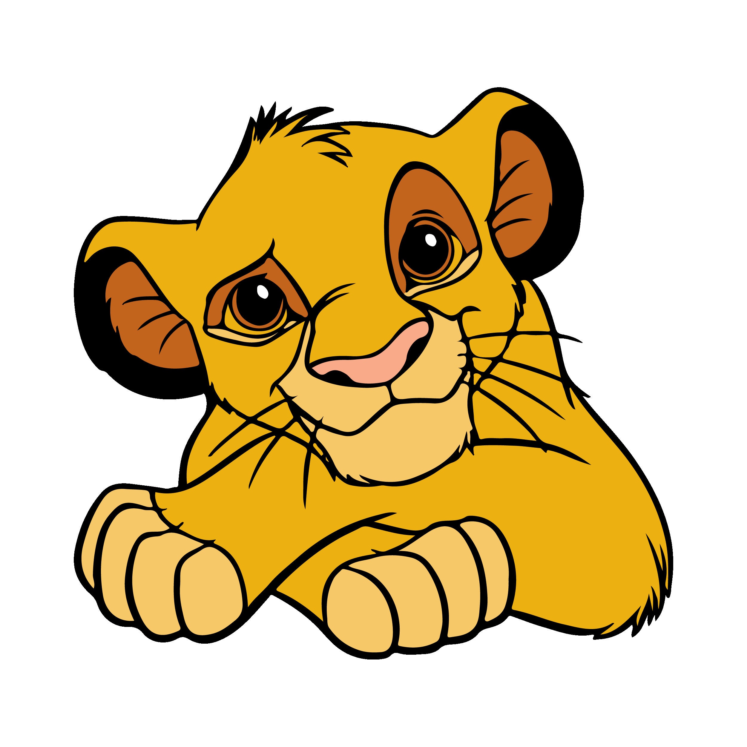 Simba Lion King Black Yellow Red Ombre Disney Custom Baseball