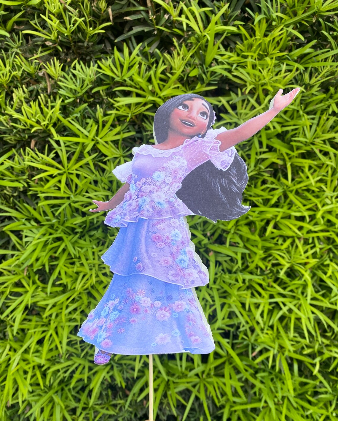 Encanto Centerpieces Centerpiece for Birthday Parties Any Etsy