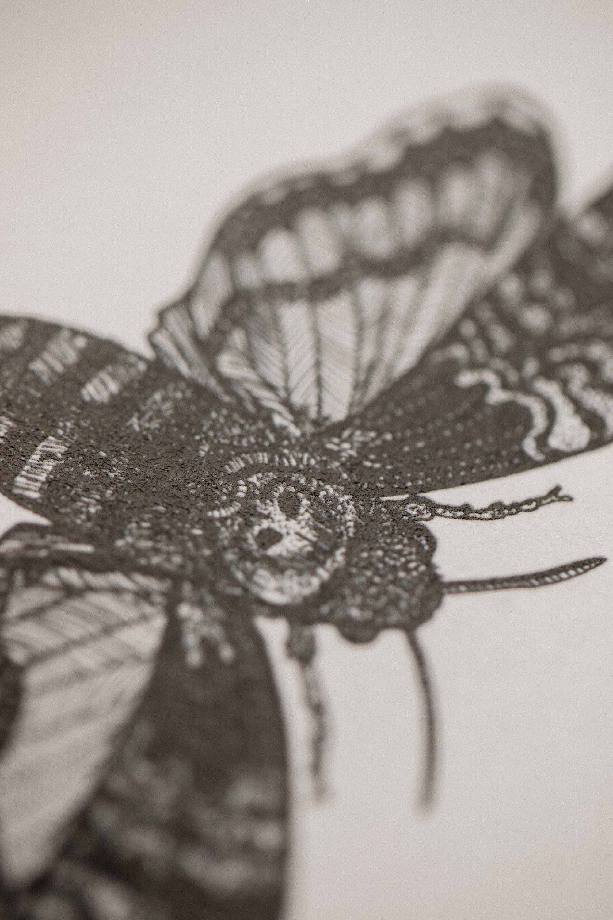 Deaths Head Hawk Moth Black and Red A5 Art Print - Etsy