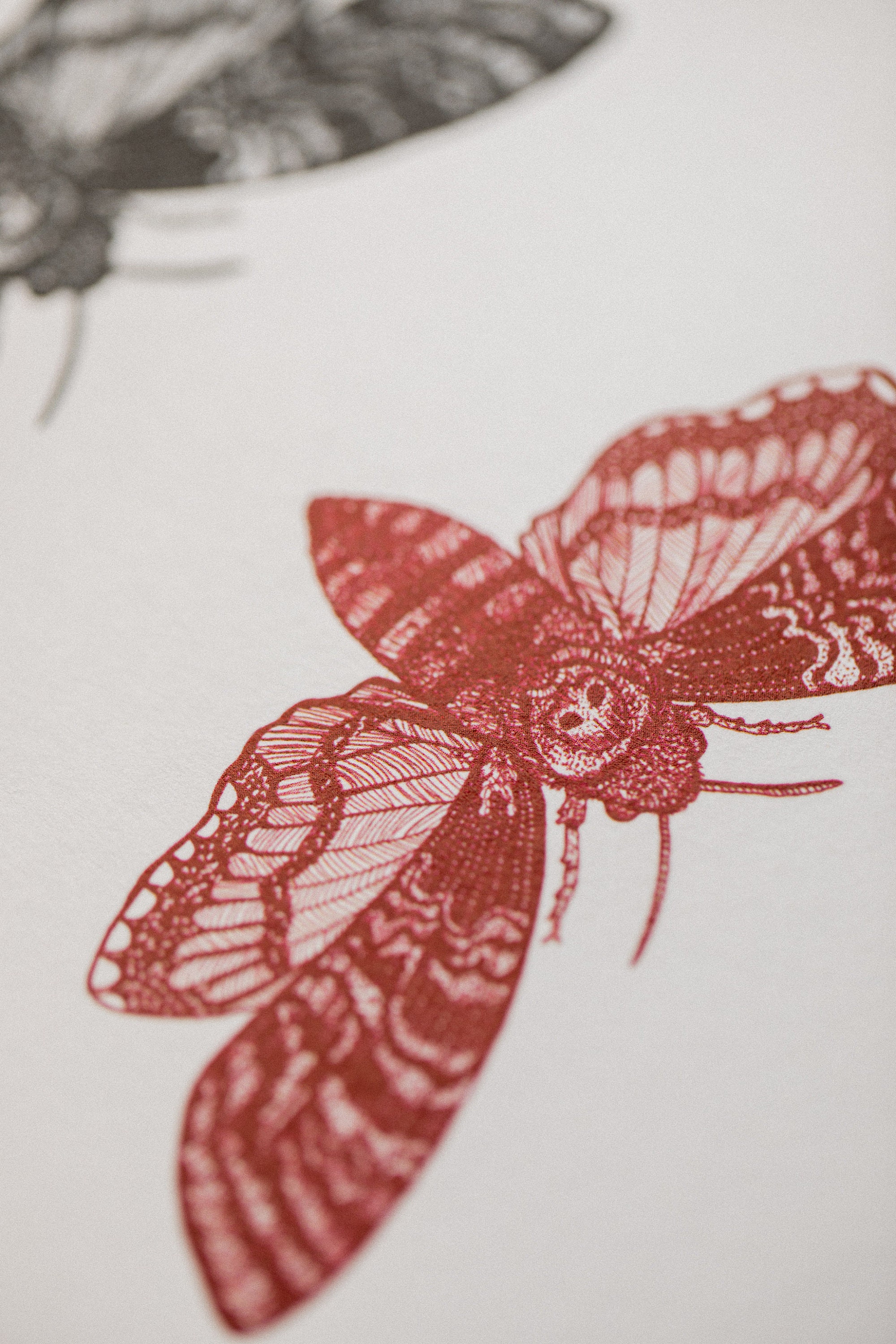 Deaths Head Hawk Moth Black and Red A5 Art Print - Etsy