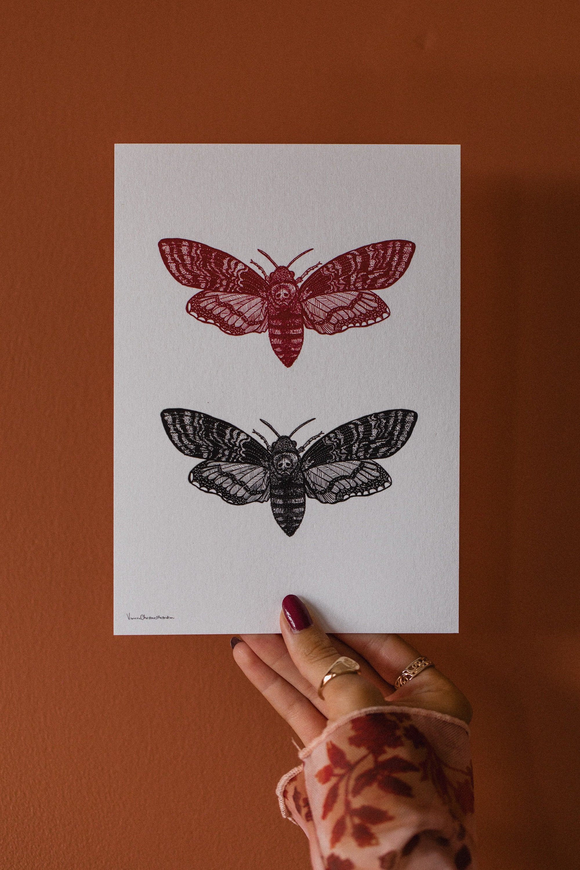 Deaths Head Hawk Moth Black and Red A5 Art Print - Etsy