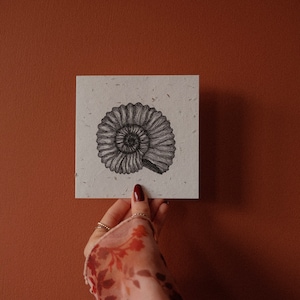 Ammonite | Fossile | Papier ensemencé | Carte de voeux | Fait main | Illustration | Imprimer | Cadeaux | Plante | Papier kraft | plantable | faune sauvage | Graines