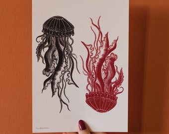 Jellyfish | Black and Red | A5 | Art Print | Handmade | Hand drawn | Ink | Wall hanging | Home decor | Gifts | Sealife | Sea | Ocean