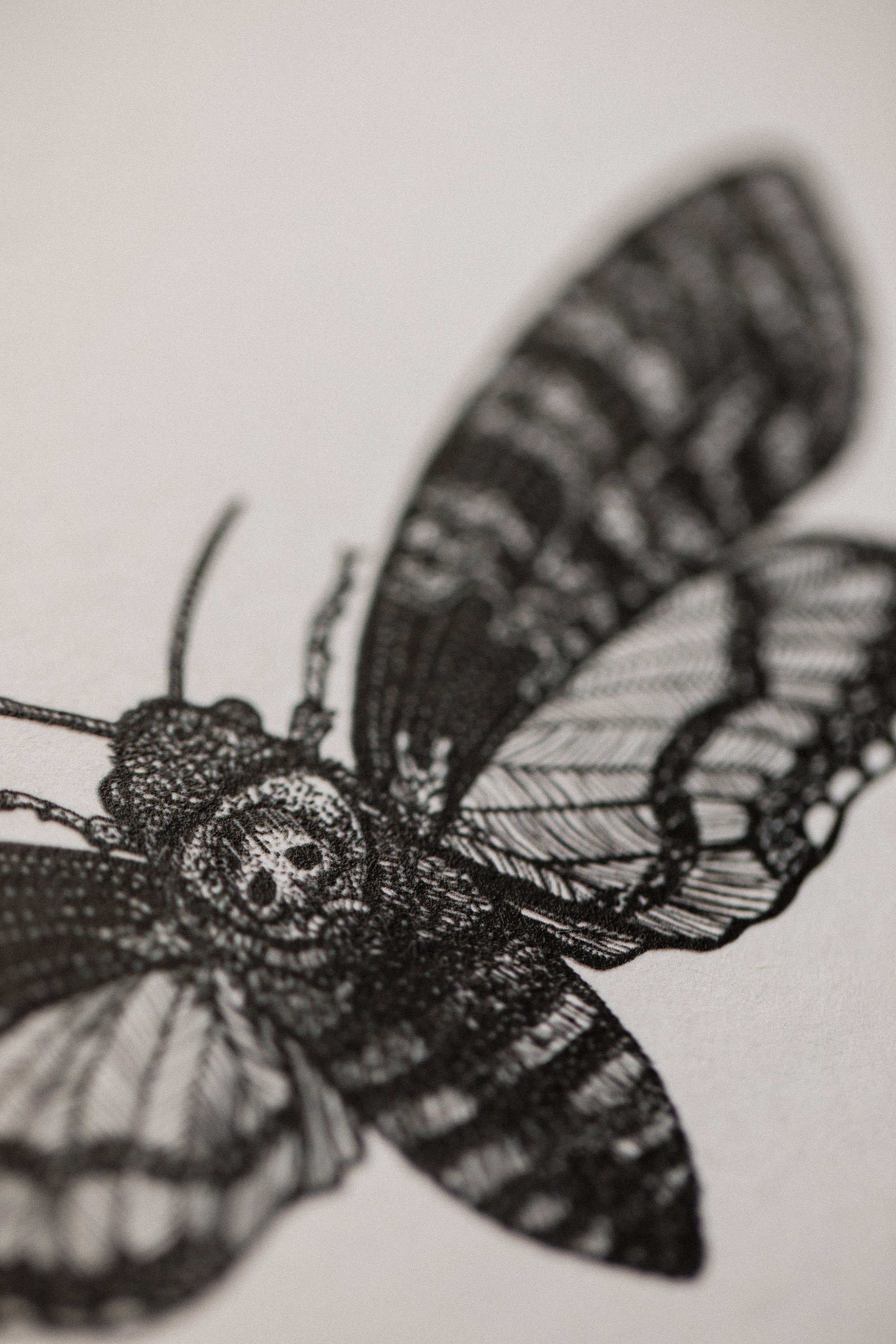 Deaths Head Hawk Moth Black and Red A5 Art Print - Etsy