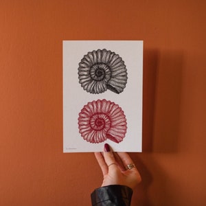 Ammonite Black and Red A5 Art Print Handmade Illustration Ink Wall hanging Home decor Gifts Fossil Sea Ocean Shell image 2