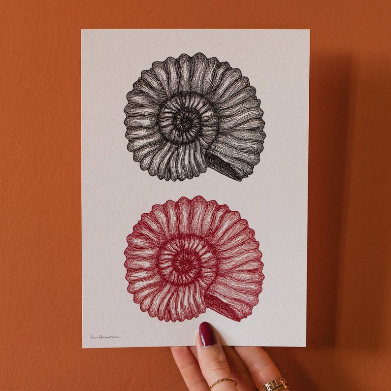 Ammonite Black and Red A5 Art Print Handmade Illustration Ink Wall hanging Home decor Gifts Fossil Sea Ocean Shell image 1