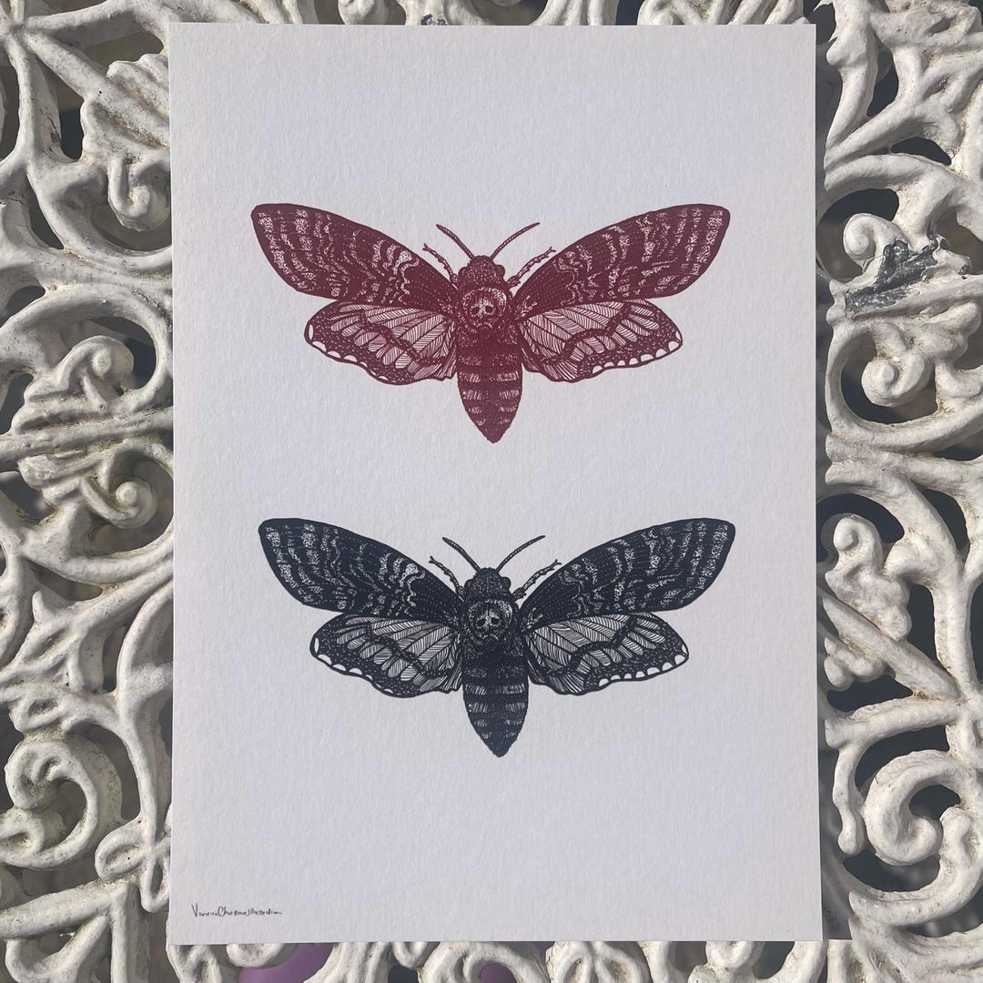 Hand Drawn Deaths Head Hawk Moth Print | Black & Red Illustrated Insect ...