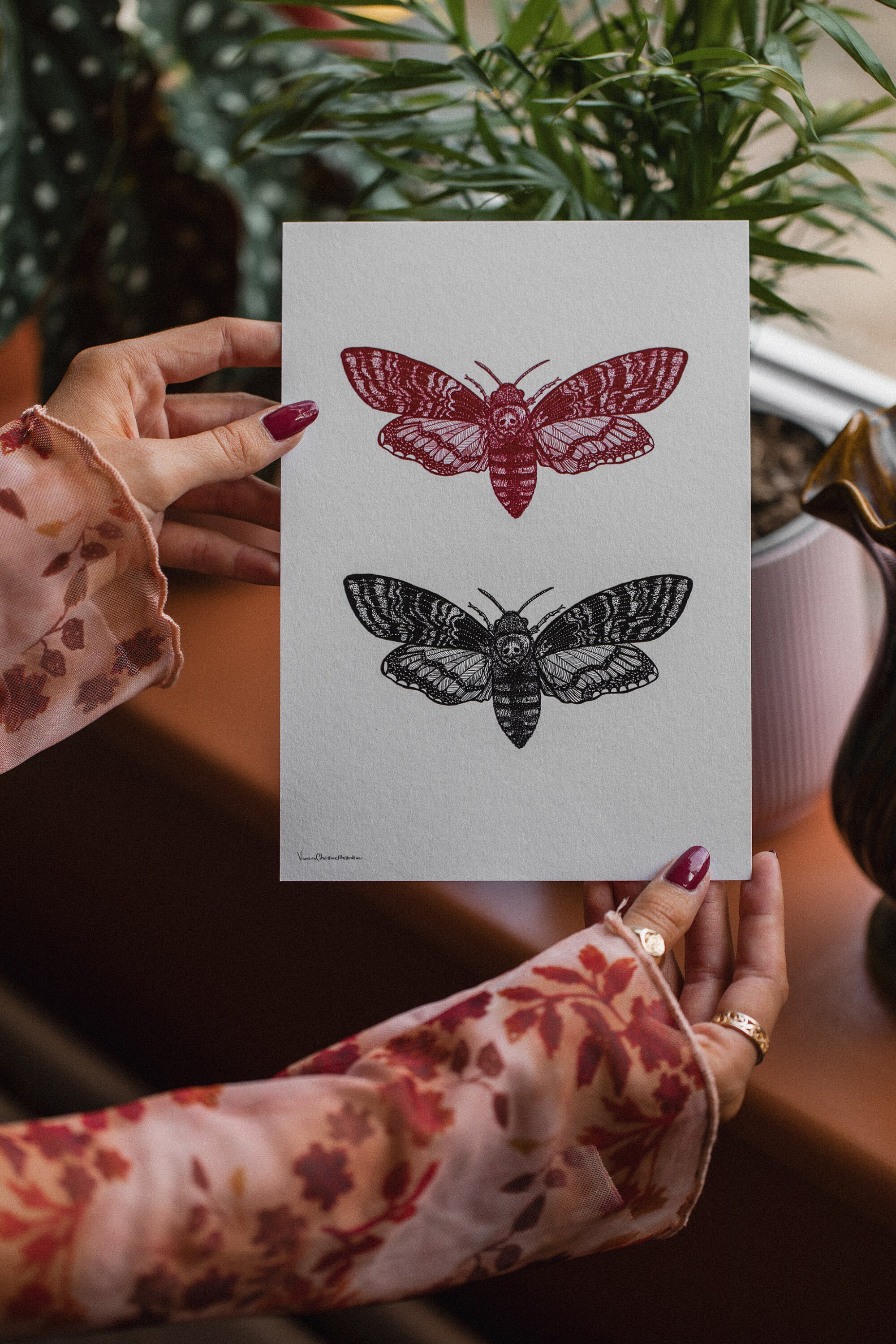 Deaths Head Hawk Moth Black and Red A5 Art Print - Etsy