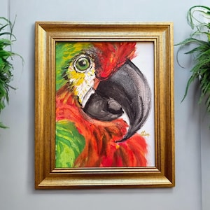 Framed Macaw Giclee Print: Red Parrot Watercolor Painting