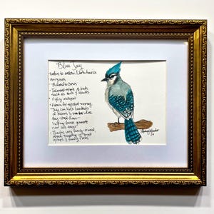 May include: A framed watercolor painting of a Blue Jay perched on a branch. The bird is depicted in shades of blue, gray, and white. Handwritten text provides facts about the bird. The frame is gold with ornate detailing.