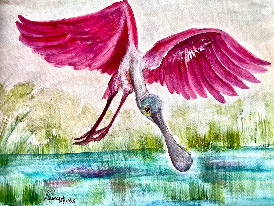 Roseate Spoonbill Print: Original Watercolor Painting, Framed Bird Art ...