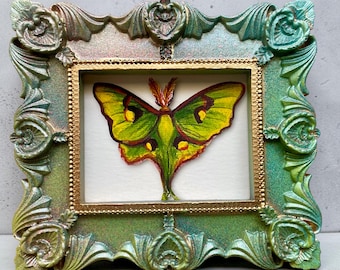 Luna Moth Watercolor Giclee Print of Original Painting: 4” miniature ornate Framed - Original Insect Wall Art - Nature Gallery Wall Art
