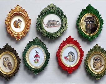 May include: A collection of eight ornate framed animal portraits. The frames are in various colors, including gold, green, and red. The portraits depict a squirrel, opossum, raccoon, owl, bird on a mushroom, hedgehog, and another owl.