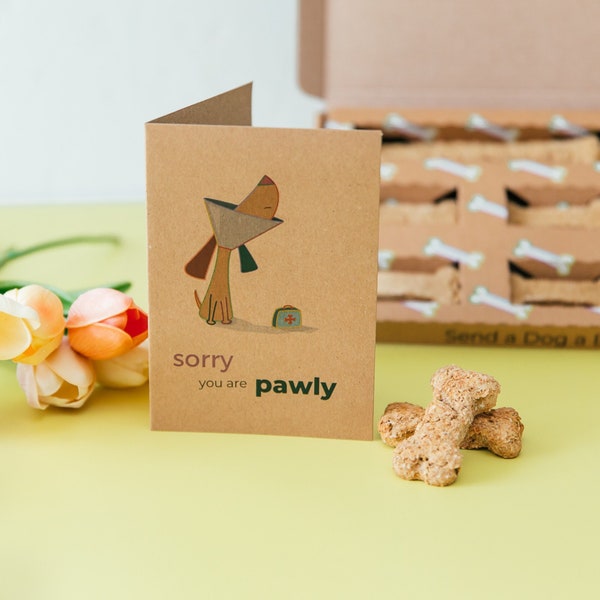 Sorry You Are Pawly Dog Treat Box, Get Well Soon, Cards For Dogs, Natural Dog Treat Box, Healthy Dog Treats, Healthy Puppy Treats, Gifts