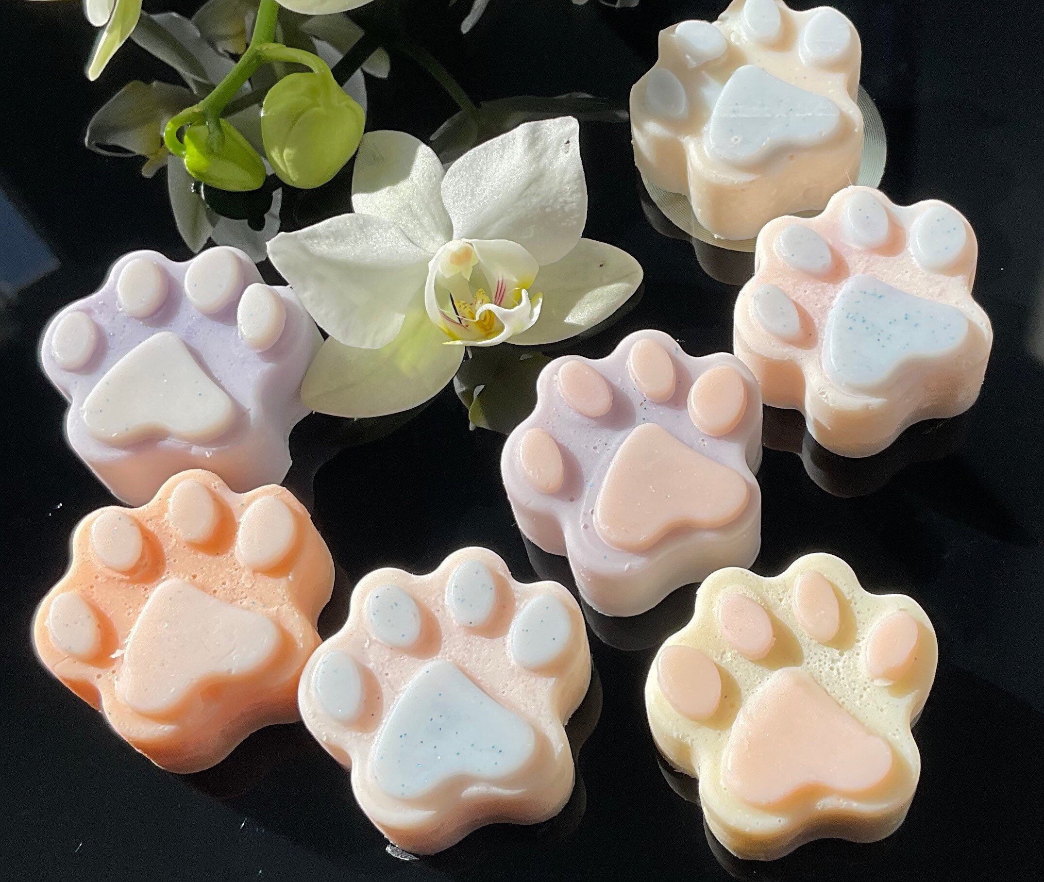 Fondant Pattes Animal