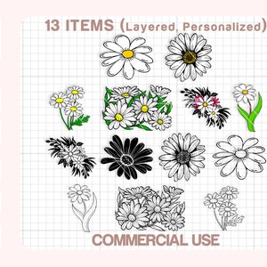 Daisy Svg, Daisy Svg Bundle, Daisy Clipart, Daisy Png, Flower Svg, Plant Svg, Cut files for Cricut, Silhouette.
