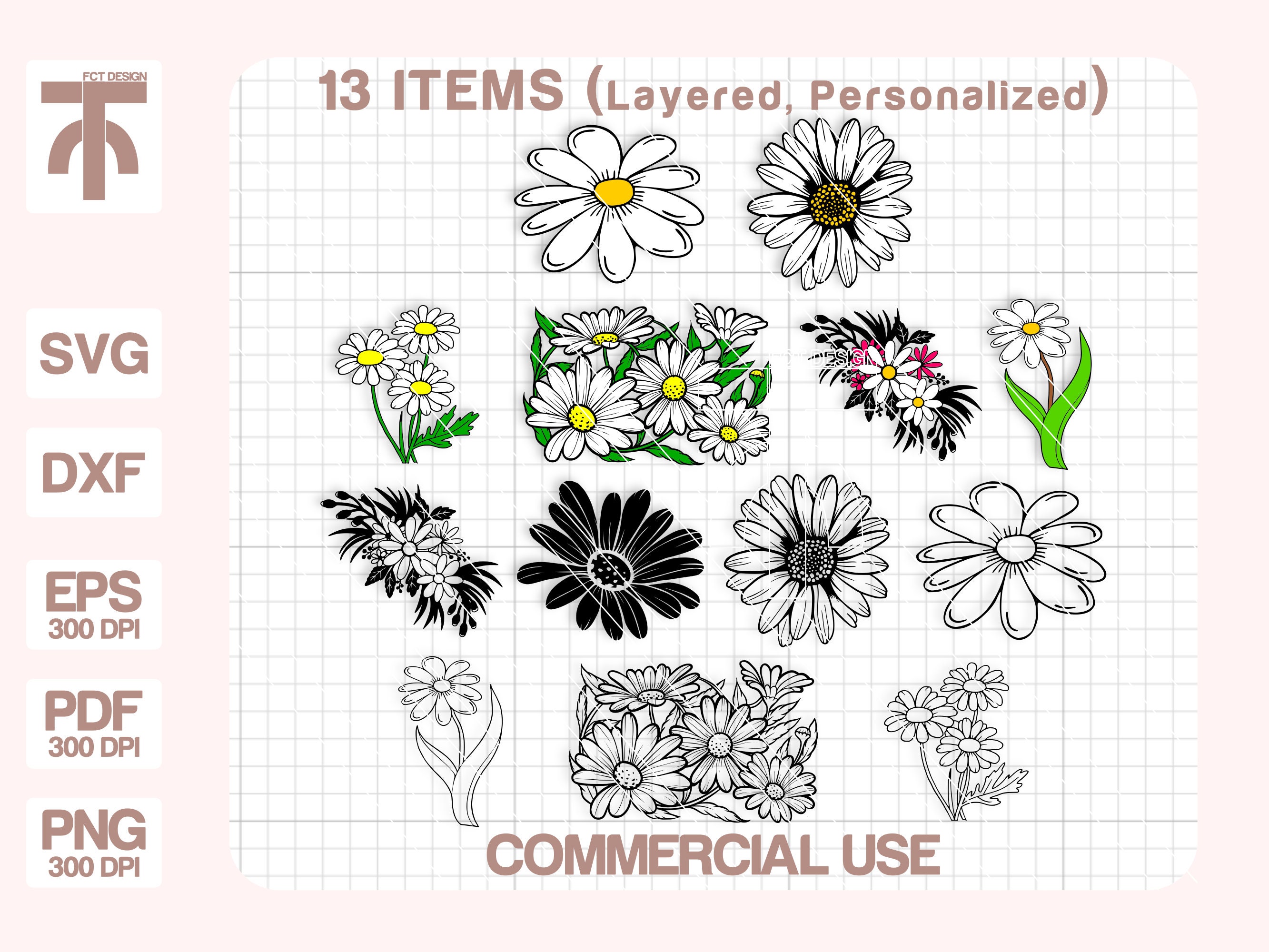 Daisy Svg, Daisy Svg Bundle, Daisy Clipart, Daisy Png, Flower Svg, Plant Svg, Cut files for Cricut, Silhouette.