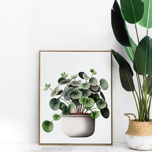 Simple Pilea Peperomioides Houseplant Digital Download