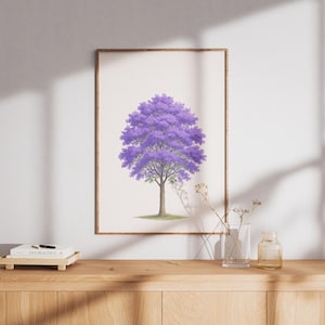 Flowering Jacaranda Tree Art Print – Native Spring Tree Illustration – Botanical Wall Art