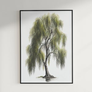 Graceful Willow Tree Poster - Botanical Art Print, Serene Nature Decor Digital Download