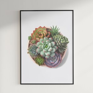 Multiple succulents in terracotta pot Digital Download