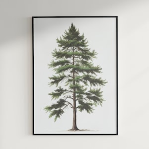 Majestic Cedar Tree Poster - Botanical Art Print, Nature-Inspired Wall Decor - Digital Download