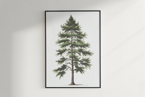 Majestic Cedar Tree Poster - Botanical Art Print, Nature-Inspired Wall Decor - Digital Download