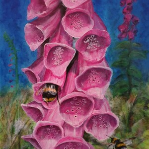 Dedaleiras, uma impressão artística giclée de 16" x 20". Uma pintura do próximo pacote Natures Essence Oracle Cards.
