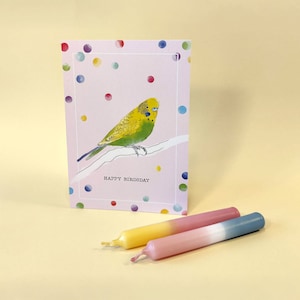 Happy Birdsday (gelb/grün) Nachhaltige Postkarte zum Geburtstag