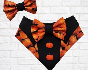Bandana pour costume de smoking citrouille, FURbulous, chien, chat, animal de compagnie, noir, orange, automne, automne, récolte