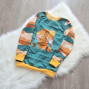 Bibi Blocksberg die kleine Hexe, Pullover in der  Größe 122,  Mädchen und Junge, Baby, Kleinkind