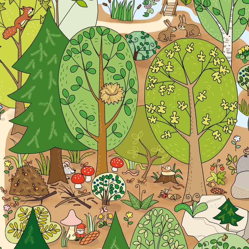 Wimmelbild "Im Wald" großes Poster für Kinder mit liebevollen Details