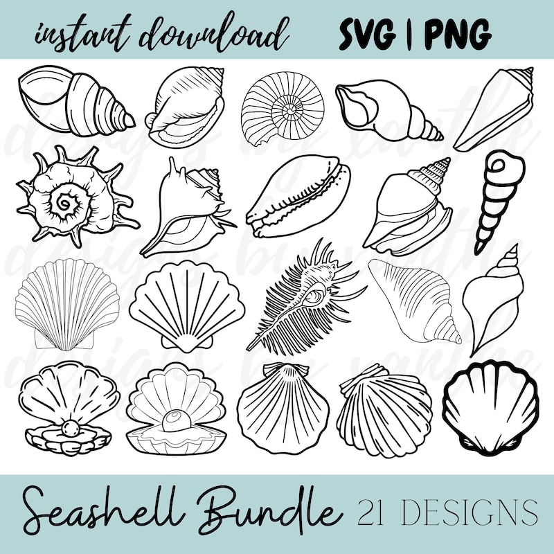 Shell Svg - Etsy