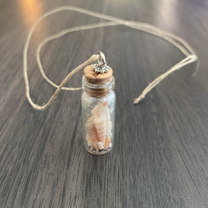 Shell Necklace
