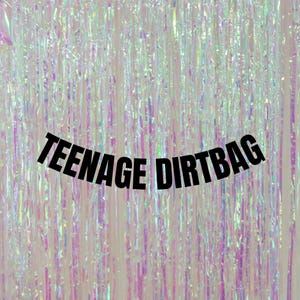 Teenager Dirtbag Banner. Moderne Dekoration zum 13. Einzigartige Teenager Geburtstagsparty Girlanden und Schilder. Lustige Wimpelketten zum 13.