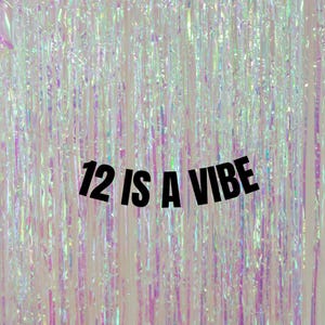 12 ist ein Vibe Banner. Moderne Dekoration zum 12. Einzigartige 12er Geburtstag Girlanden und Schilder. Lustige Wimpelketten zum 12.