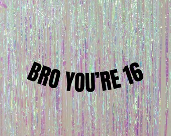 Bro you're 16 banner. Modern 16th birthday decorations. Gen Z birthday party garlands and signs. Funny 16th birthday decorations.