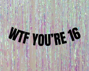WTF You're 16 banner. Modern 16th birthday decorations. Gen Z birthday party garlands and signs. Funny 16th birthday decorations. Funny 16th