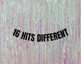 16 Hits different banner. Modern 16th birthday decorations. Gen Z birthday party garlands and signs. Funny 16th birthday decorations.