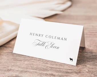 PRINTED + SHIPPED Custom Classic Wedding Place Cards, Elegant Table Seating Card | CARMEN