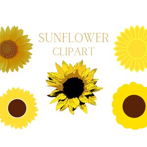 Sunflower Png Bundle, Sunflower Clipart, Sunflower Png, Sunflower Sublimation, Sunflower Drawing, Sunflower Aesthetic, Sunflower Art