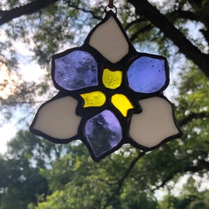 Louisiana Purple and White Iris Stained Glass