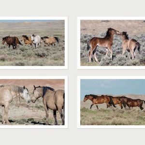 Wildpferde Grußkarten 4er Set / Wildpferd Fotografie / Foto Notizkarten Set mit Umschlägen / Wildpferd Karten