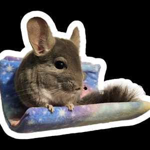 Antipill Fleece Half Tunnel for Chinchillas, Ferrets, Degus, Rats, and Other Small Pets - 10 Inch