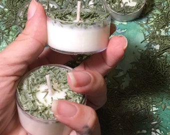 Velas de té con aroma a abeto Fraser, velas para árbol de Navidad, velas navideñas