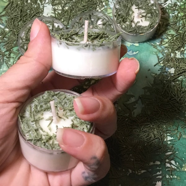 Christmas Tree Scented Tea Lights, Fraser Fir Scented, Holiday Tree Candles, Holiday candles, Christmas candles