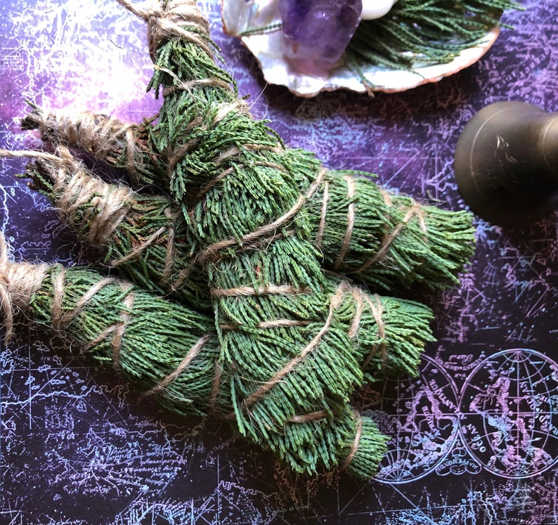 May include: Three bundles of green cedar smudge sticks tied with twine. The smudge sticks are on a dark purple background with a white and blue map pattern.