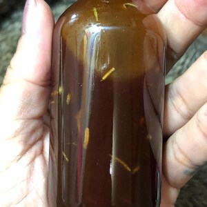 May include: A small, amber glass bottle filled with a dark brown liquid and containing small, light brown pieces. The bottle has a screw-on lid.