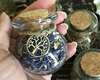 Botanical Herb Jars, Resin, Spell Jars, Tree of Life Charm