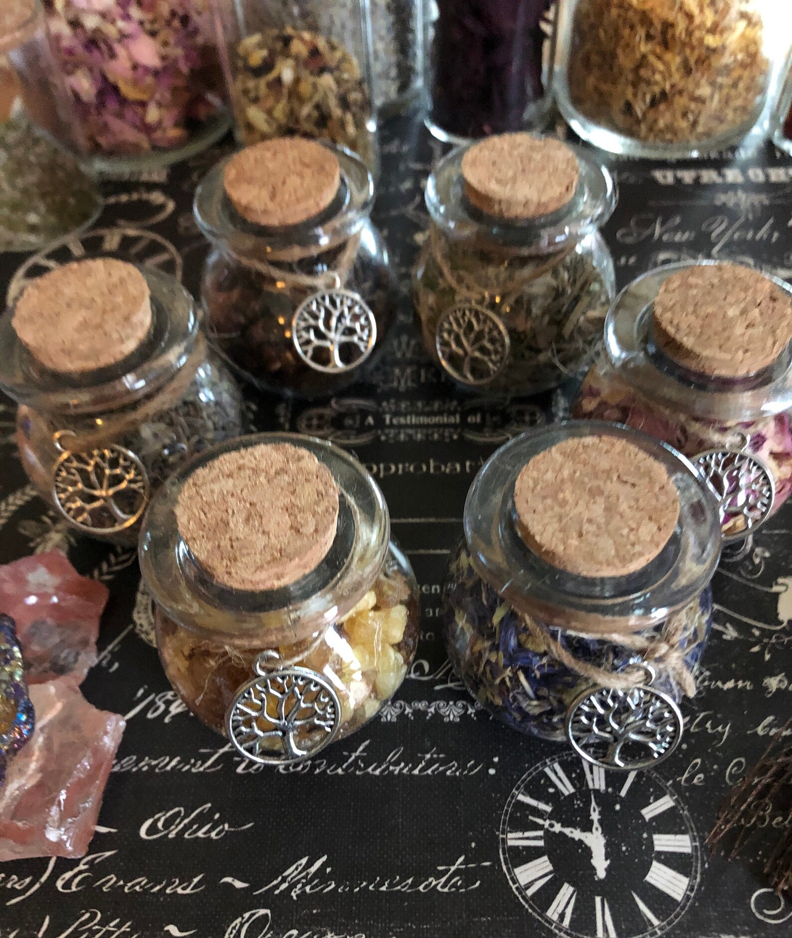 Glass Herb Jars You Pick Herbs/botanicals Resin Jars Herb Etsy